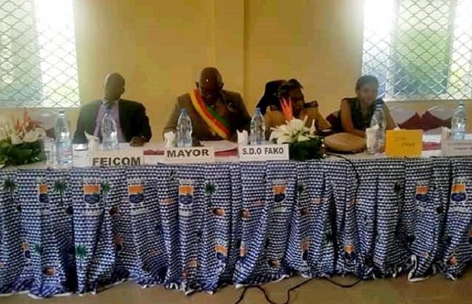 Limbe III Council as Budget For 2021 Financial Year